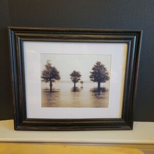 Framed Artwork Trees in Swamp Wetlands 17x24x1 Eerie yet Captivating B & W